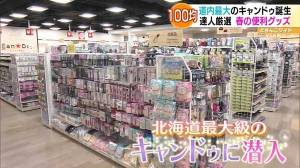 100均の達人厳選！春のお役立ちグッズ