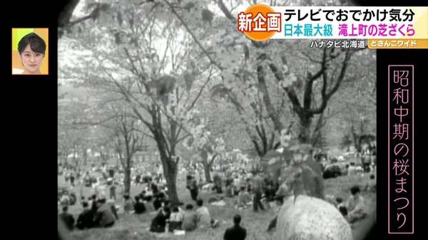 新企画！ハナタビ北海道〜滝上芝ざくら公園