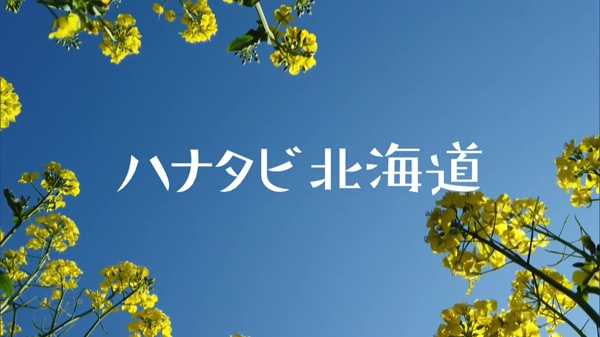 ハナタビ北海道〜滝川の菜の花畑＆札幌のライラック