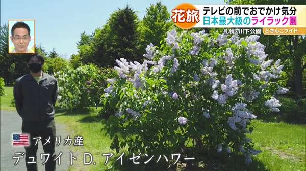 ハナタビ北海道〜滝川の菜の花畑＆札幌のライラック