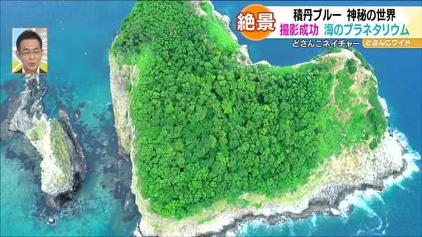 どさんこネイチャー“積丹ブルー水中世界 海のプラネタリウム”