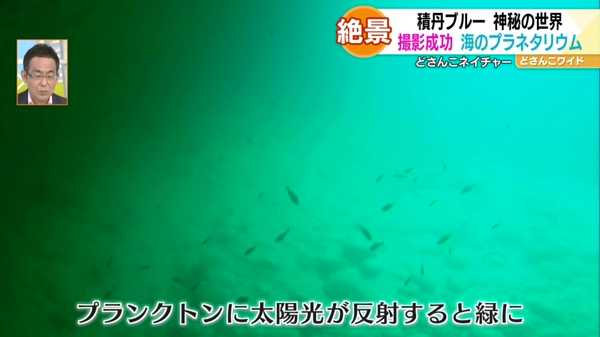 青の洞窟の水中