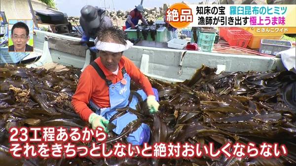 産地直送！浜の王様〜味もこだわりも一級品！羅臼昆布