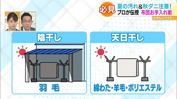 秋ダニに注意！プロに教わる布団お手入れ術