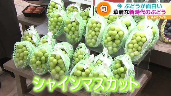 ときめき野菜通信〜旬・今ぶどうが面白い