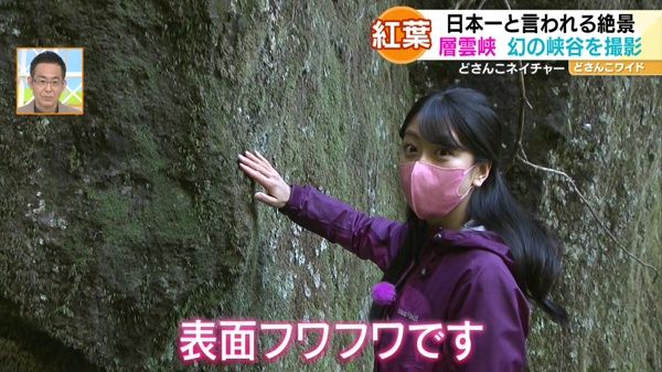 穴場の散策路「紅葉谷」へ