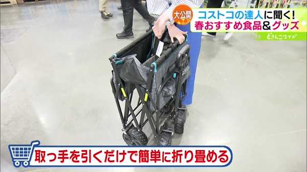 ●マックスポーツ 折り畳みワゴン 8580円