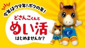 【ぬい活】始めませんか？