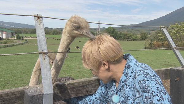 ダチョウとふれ合うしんいち