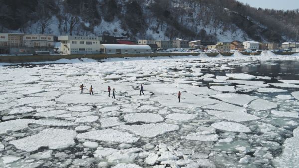 一面の流氷