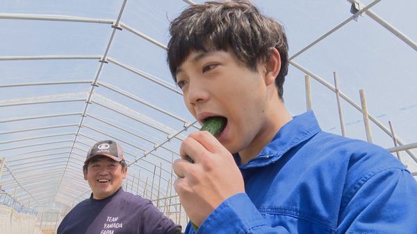 初物のきゅうりを食べる前田