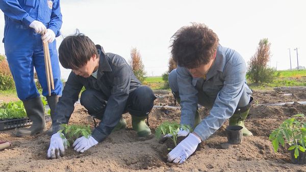 農作業をする流れ星