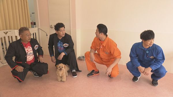 ４人で犬の美容室へ