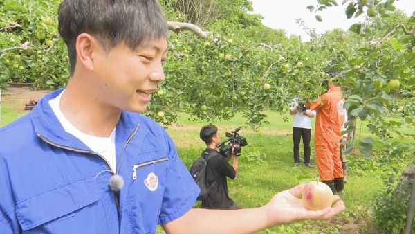 前田とリンゴ