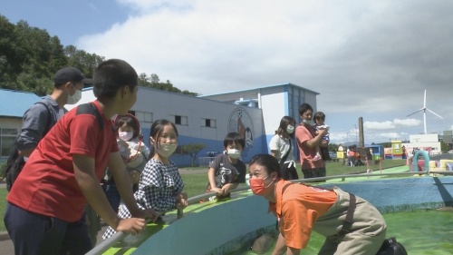 高岸の水槽掃除