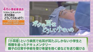 番組審議会議題「どさんこドキュメント  ボクの耳はどうして小さいの？」　画像