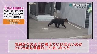 番審委員意見「クマージェンシー 〜ヒトとクマの距離感〜」（３）画像