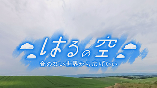 はるの空 番組タイトル