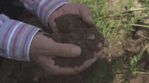 「微生物」を使った土づくり１