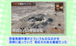 委員の意見（5）