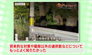 委員の意見（３-２）