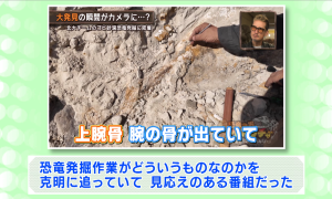 委員の意見（５-２）