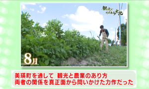 委員の意見（４）