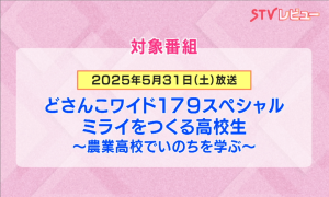 対象番組 画像