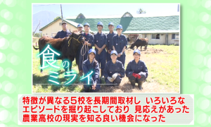 委員の意見（１）