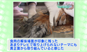 委員の意見（２）