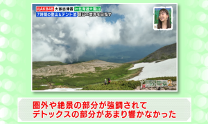 委員の意見（6-1）