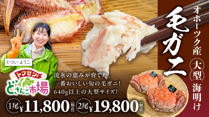 オホーツク産 大型 海明け毛ガニ