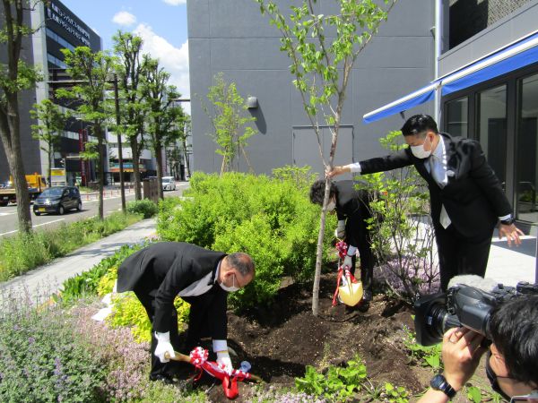 ＳＴＶの花壇で植樹